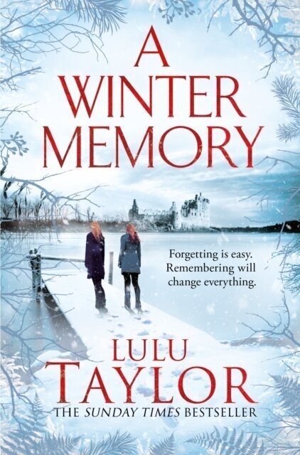 A Winter Memory hind ja info | Romaanid  | kaup24.ee