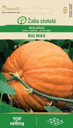 Kõrvits Big Max цена и информация | Köögivilja-, marjaseemned | kaup24.ee