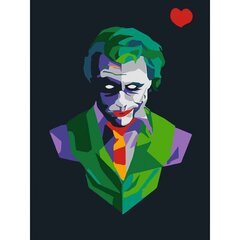 Maalimiskomplekt numbrite järgi Värviline Joker 15x20 hind ja info | Kunstitarbed, voolimise tarvikud | kaup24.ee