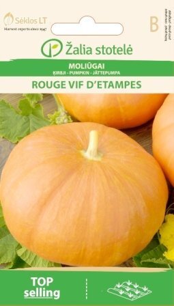 Kõrvits Rouge vif d' Etampes hind ja info | Köögivilja-, marjaseemned | kaup24.ee
