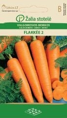 Морковь Flakkee 2, 5 g цена и информация | Семена овощей, ягод | kaup24.ee