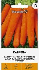 Морковь Karlena, 5 г цена и информация | Семена овощей, ягод | kaup24.ee