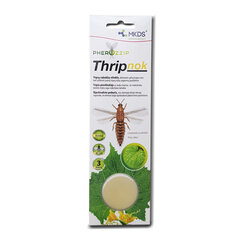 Thripnok ripstiivaliste peibutis, 1 tk hind ja info | Hooldusvahendid taimedele | kaup24.ee