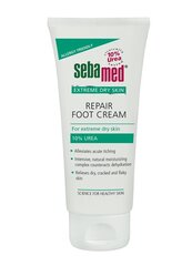 SEBAMED Extreme Dry Skin Repair jalakreem 100ml цена и информация | Кремы, лосьоны для тела | kaup24.ee