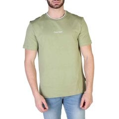 Мужская футболка Calvin Klein K10K107845_LJ9 цена и информация | Мужские футболки | kaup24.ee