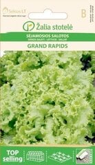 Lehtsalat Grand rapids hind ja info | Köögivilja-, marjaseemned | kaup24.ee