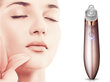 DermaWandPro 2847 hind ja info | Näohooldusseadmed | kaup24.ee