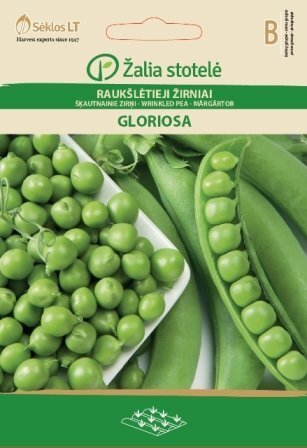 Hernes Gloriosa hind ja info | Köögivilja-, marjaseemned | kaup24.ee