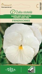 Võõrasema Firnenschnee цена и информация | Семена цветов | kaup24.ee