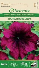 Петуния Touha H Burgundy цена и информация | Семена цветов | kaup24.ee