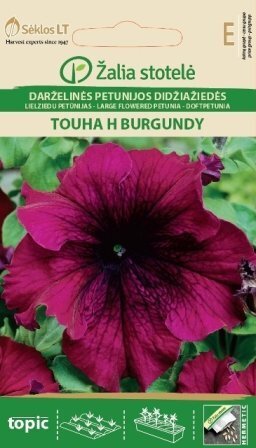 Suureõieline petuunia Touha H Burgundy цена и информация | Lilleseemned | kaup24.ee