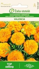 Бархатцы низкорослые Valencia цена и информация | Зайцехвост яйцевидный | kaup24.ee