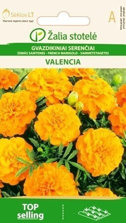 Peiulill Valencia цена и информация | Lilleseemned | kaup24.ee