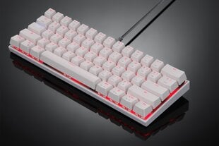 Wireless mechanical gaming keyboard Motospeed CK62 Bluetooth (white) цена и информация | Клавиатуры | kaup24.ee