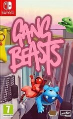 Switch Gang Beasts цена и информация | Компьютерные игры | kaup24.ee