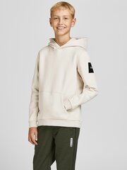 Детская толстовка Jack & Jones 12195178*03, бежевая5715217323273 цена и информация | Свитеры, жилетки, пиджаки для мальчиков | kaup24.ee