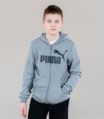 Puma laste dressipluus 586968*03, hall 4063697293694 цена и информация | Свитеры, жилетки, пиджаки для мальчиков | kaup24.ee