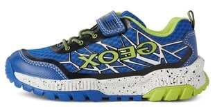 Ботинки Geox без голенища, синие 1062935 цена и информация | Детские туфли | kaup24.ee