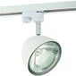 Nowodvorski Lighting laevalgusti Vespa White 8824 цена и информация | Laelambid | kaup24.ee