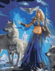 Maalid numbrite järgi "Woman and wolves" 40 x 50 RA300G hind ja info | Maalid numbri järgi | kaup24.ee