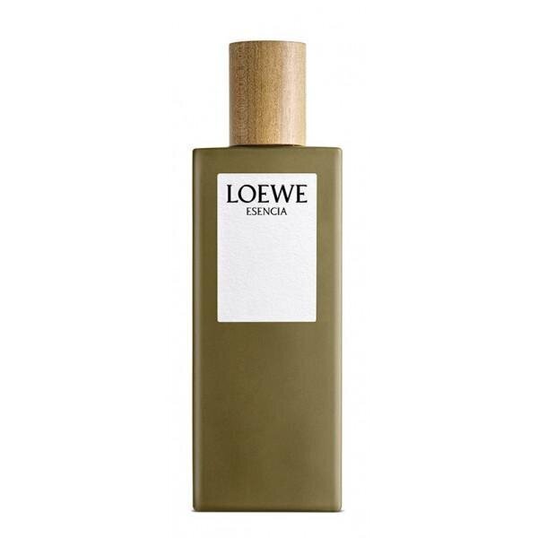 Meeste parfüüm Loewe Esencia EDT (100 ml) hind ja info | Meeste parfüümid | kaup24.ee