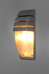 Nowodvorski Lighting seinavalgusti Mistral I 3393 цена и информация | Настенные светильники | kaup24.ee