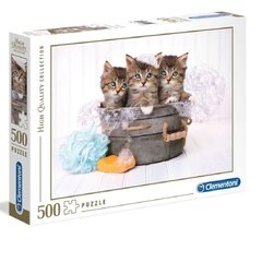 Пазл Clementoni High Quality Collection Kittens (Котята), 35065, 500 д. цена и информация | Пазлы | kaup24.ee