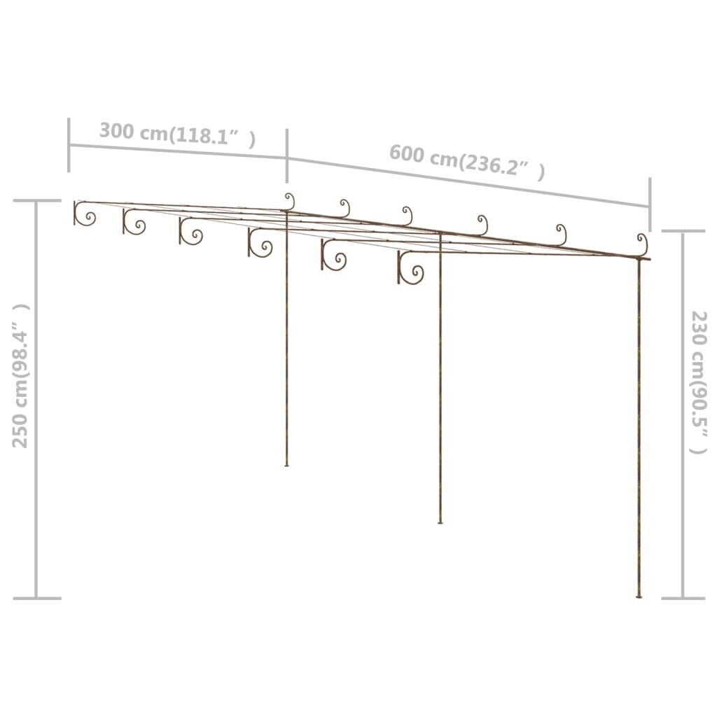 vidaXL lehtla, antiikpruun, 6 x 3 x 2,5 m, raud hind ja info | Vaasid, alused, redelid lilledele | kaup24.ee