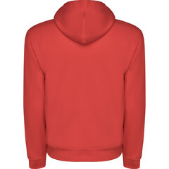 Джемпер с капюшоном «Capucha», бордовый цена и информация | свитер e193 - черный | kaup24.ee
