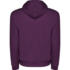 Джемпер с капюшоном «Capucha», фиолетовый цена и информация | Мужские свитера | kaup24.ee