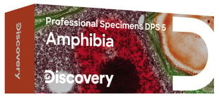 Discovery Prof Specimens DPS 5 цена и информация | Телескопы и микроскопы | kaup24.ee