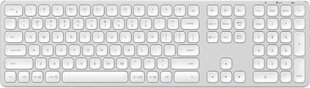 Juhtmevaba klaviatuur Satechi 3 seadmele, inglise ameerika paigutus, hõbedane hind ja info | Klaviatuurid | kaup24.ee