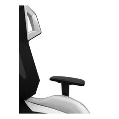 Игровое кресло Astan Hogar Stream Team цена и информация | Офисные кресла | kaup24.ee