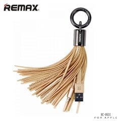 Remax RC-053i Дизайн Брелок для ключей с Apple Lightning кабелемданных и заряда  (MD818) Золотой цена и информация | Брелки | kaup24.ee