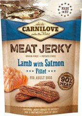 Лакомство Carnilove Jerky для собак с бараниной и лососем 100г цена и информация | Лакомства для собак | kaup24.ee