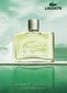 Lacoste Essential EDT meestele 125 ml tagasiside