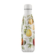 Termospudel Chilly's Bottle 500 ml, puuviljadega hind ja info | Termosed, termostassid | kaup24.ee