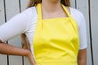 Kollane naiste põll taskutega hind ja info | Köögirätikud, pajakindad, põlled | kaup24.ee