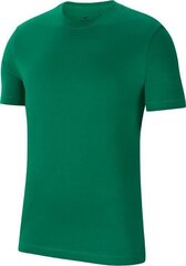 Meeste T-särk Nike, roheline цена и информация | Мужские футболки | kaup24.ee