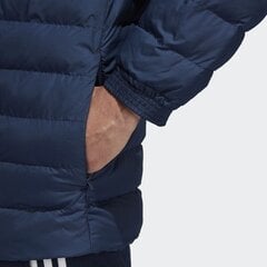 Мужская куртка Adidas Entrada 22 Стадионная куртка HG6301, темно синяя цена и информация | Мужские куртки | kaup24.ee