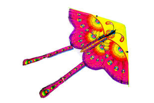 Воздушный змей в виде бабочки цена и информация | Воздушные змеи и аксессуары | kaup24.ee