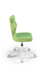 Эргономичный детский стульчик Entelo Good Chair Petit ST29 3, зеленый/белый цена и информация | Офисные кресла | kaup24.ee