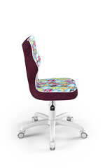 Эргономичный детский стульчик Entelo Good Chair Petit ST32 3, разноцветный цена и информация | Офисные кресла | kaup24.ee