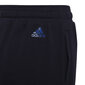 Adidas Püksid B Logo Pant Black HF1829 HF1829/140 hind ja info | Poiste püksid | kaup24.ee