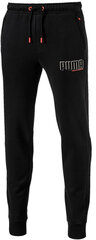 Штаны Puma Style Athletics Pants FL Grey 592494 07/S цена и информация | Мужские брюки | kaup24.ee