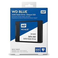 Väline kõvaketas Western Digital WDS500G2B0A hind ja info | Välised kõvakettad (SSD, HDD) | kaup24.ee