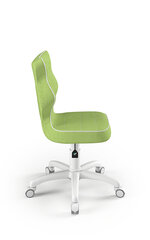 Эргономичный детский стул Entelo Good Chair Petit VS05 3, белый/зеленый цена и информация | Офисные кресла | kaup24.ee