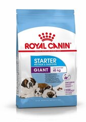 Корм для собак Royal Canin Giant Starter Mother & Babydog Universal, 15 кг цена и информация | Сухой корм для собак | kaup24.ee