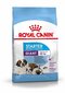 Kuivtoit koertele Royal Canin Giant Starter Mother & Babydog Universal, 15 kg цена и информация | Kuivtoit koertele | kaup24.ee