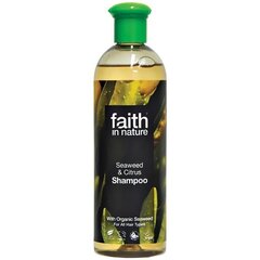 Merevetikaga šampoon Faith in Nature kõikidele juuksetüüpidele 250 ml цена и информация | Шампуни | kaup24.ee